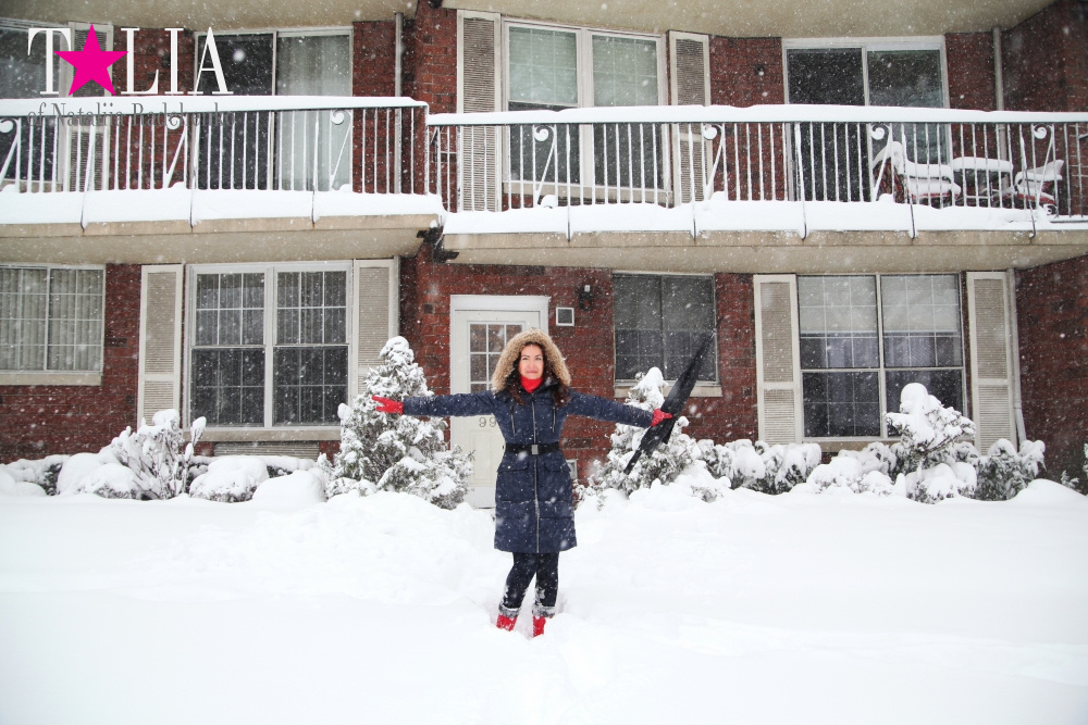 Снежный Шторм в Нью-Йорке 23 января 2016